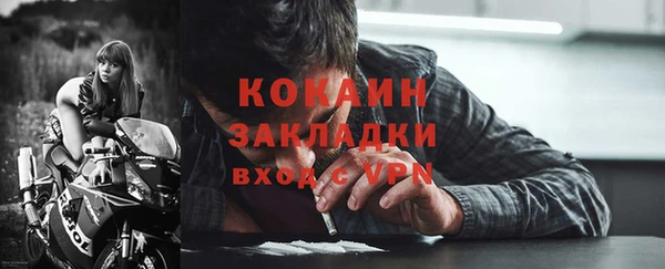прущие грибы Богданович