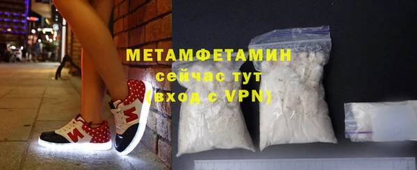 прущие грибы Богданович