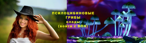кокс Белокуриха