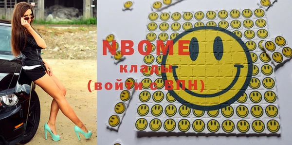 шишки Богородицк