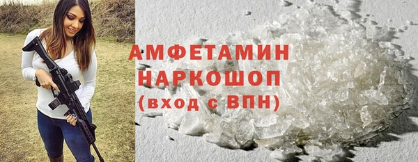 прущие грибы Богданович