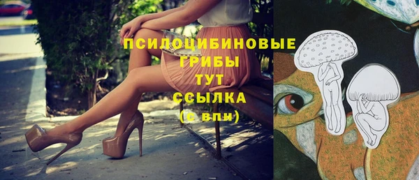 бошки Беломорск