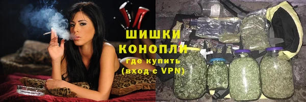 шишки Богородицк