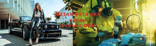 шишки Богородицк